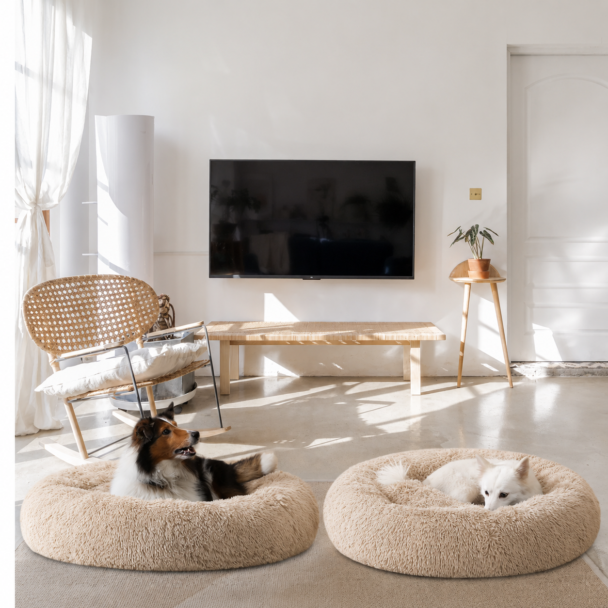 Premium Calming & Anti-Anxiety Bed for Dogs & Cats | Loyal Paw™