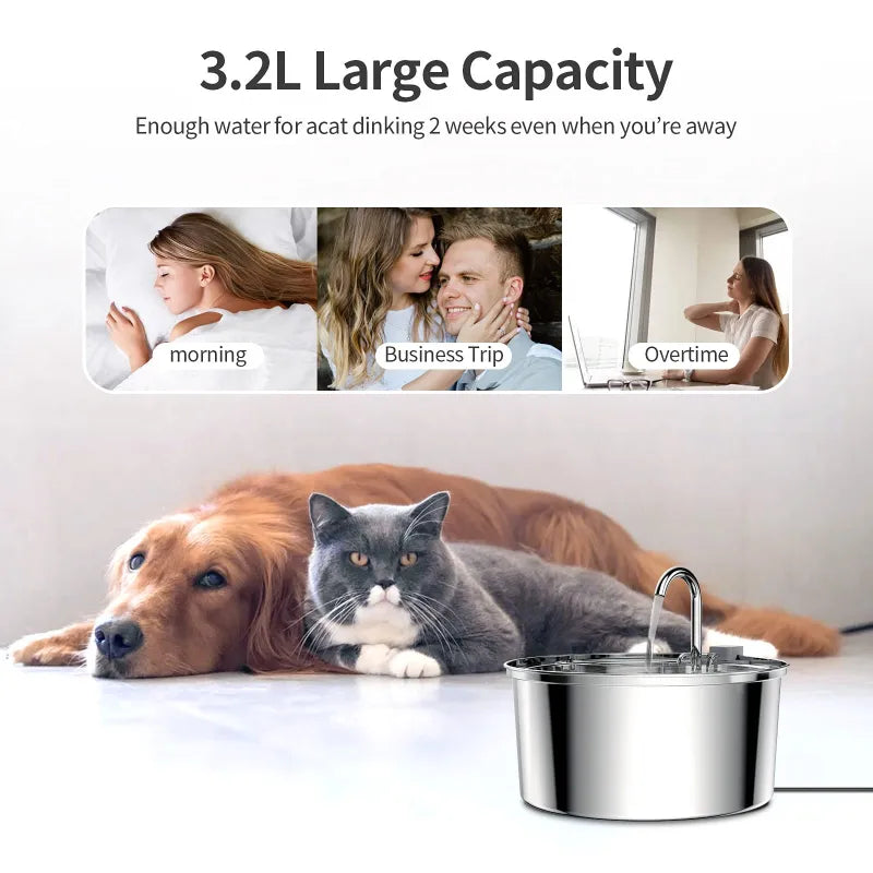 Stainless Steel Pet Water Fountain for Cats & Dogs