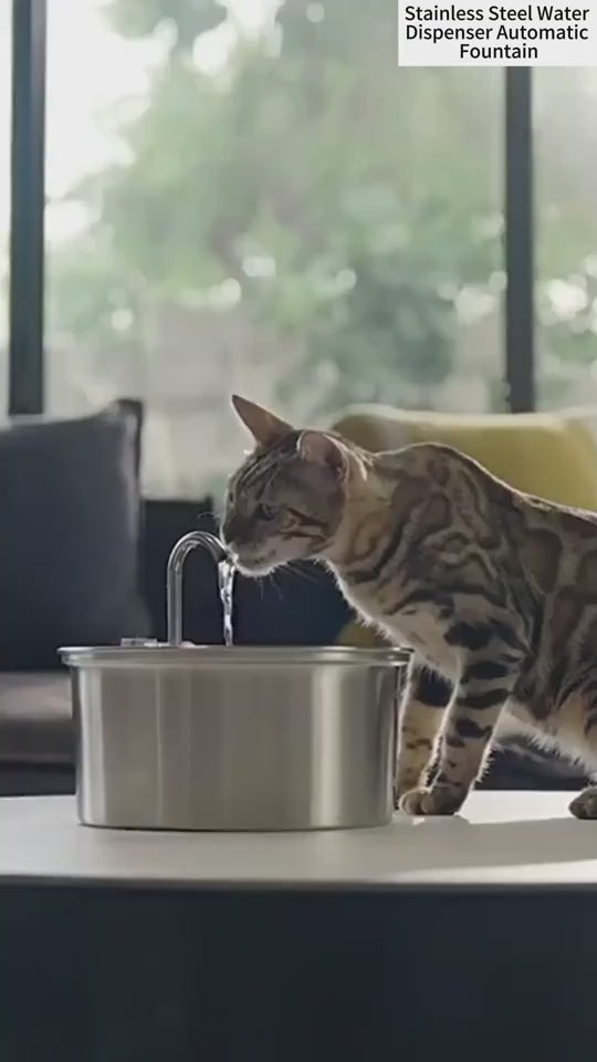 Stainless Steel Pet Water Fountain for Cats & Dogs