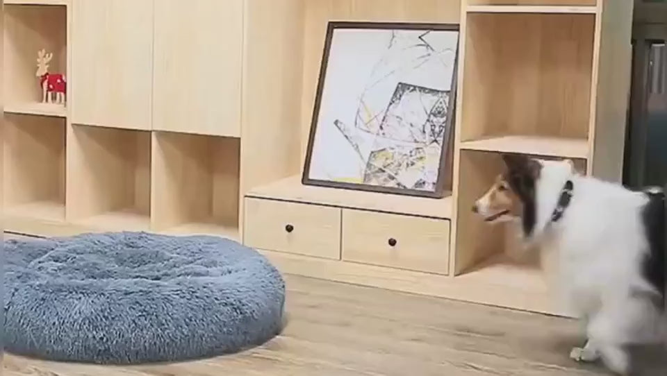 Premium Calming & Anti-Anxiety Bed for Dogs & Cats | Loyal Paw™